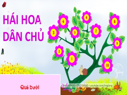 Bài giảng Tiếng Việt Lớp 1 (Sách Cánh diều) - Bài 106: ao, eo - Năm học 2020-2021
