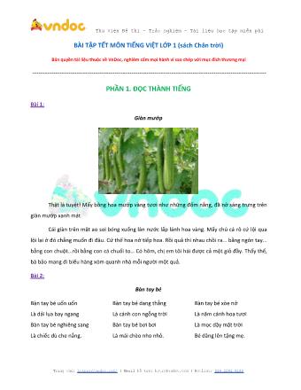 Bài tập Tết môn Tiếng Việt Lớp 1 (Sách Chân trời sáng tạo)
