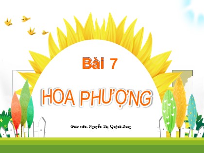 Bài giảng Tiếng Việt 1 (Kết nối tri thức) - Chủ đề 7 - Bài 7: Hoa phượng