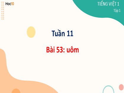 Giáo án Tiếng Việt Lớp 1 - Tuần 11, Bài 53: uôm
