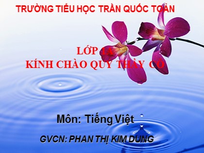 Bài giảng Tiếng Việt 1 (Cánh diều) - Bài 17: G, g; Gi, gi - Phan Thị Kim Dung