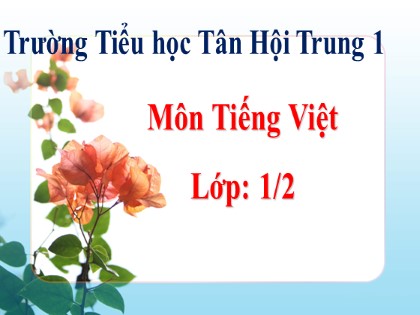 Bài giảng Tiếng Việt 1 (Chân trời sáng tạo) - Chủ đề 6: Đi sở thú - Bài 1: P p ph - Trường Tiểu học Tân Hội Trung 1