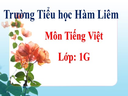 Bài giảng Tiếng Việt 1 (Chân trời sáng tạo) - Chủ đề 6: Đi sở thú - Bài 1: P p ph - Trường Tiểu học Hàm Liêm