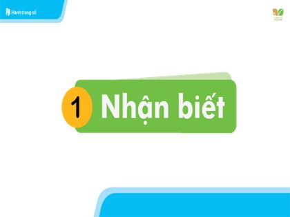 Bài giảng Tiếng Việt 1 (Kết nối tri thức với cuộc sống) - Bài 27: V v X x