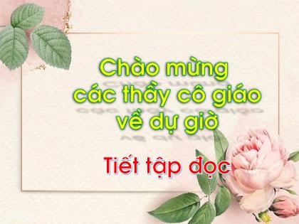 Bài giảng Tiếng Việt Lớp 1 - Chủ đề 5, Bài 5: Tiếng vọng của núi - Phan Thị Thanh Huyền